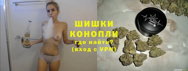 PSILOCYBIN Балахна