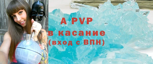 PSILOCYBIN Балахна