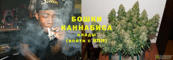 PSILOCYBIN Балахна